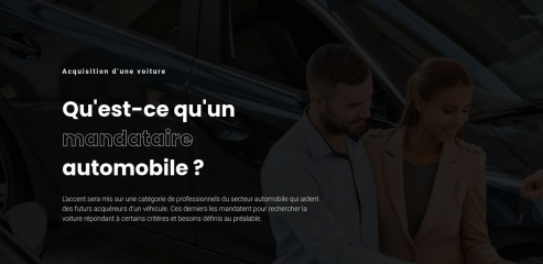 https://www.le-mandataire-automobile.fr