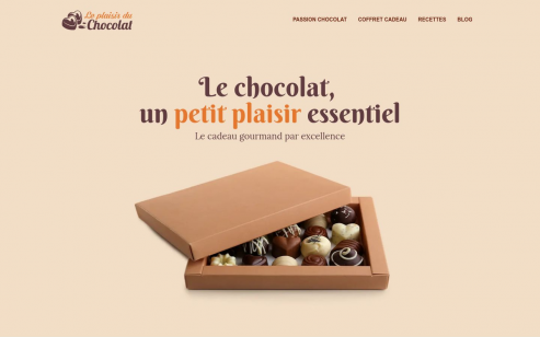 https://www.leplaisirduchocolat.com