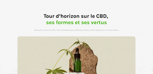 https://www.cbd-cannabidiol-magazine.fr