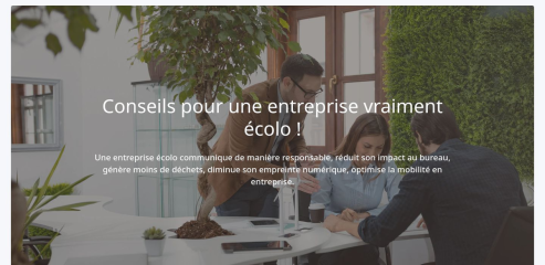 https://www.ecoconseil-entreprise.com